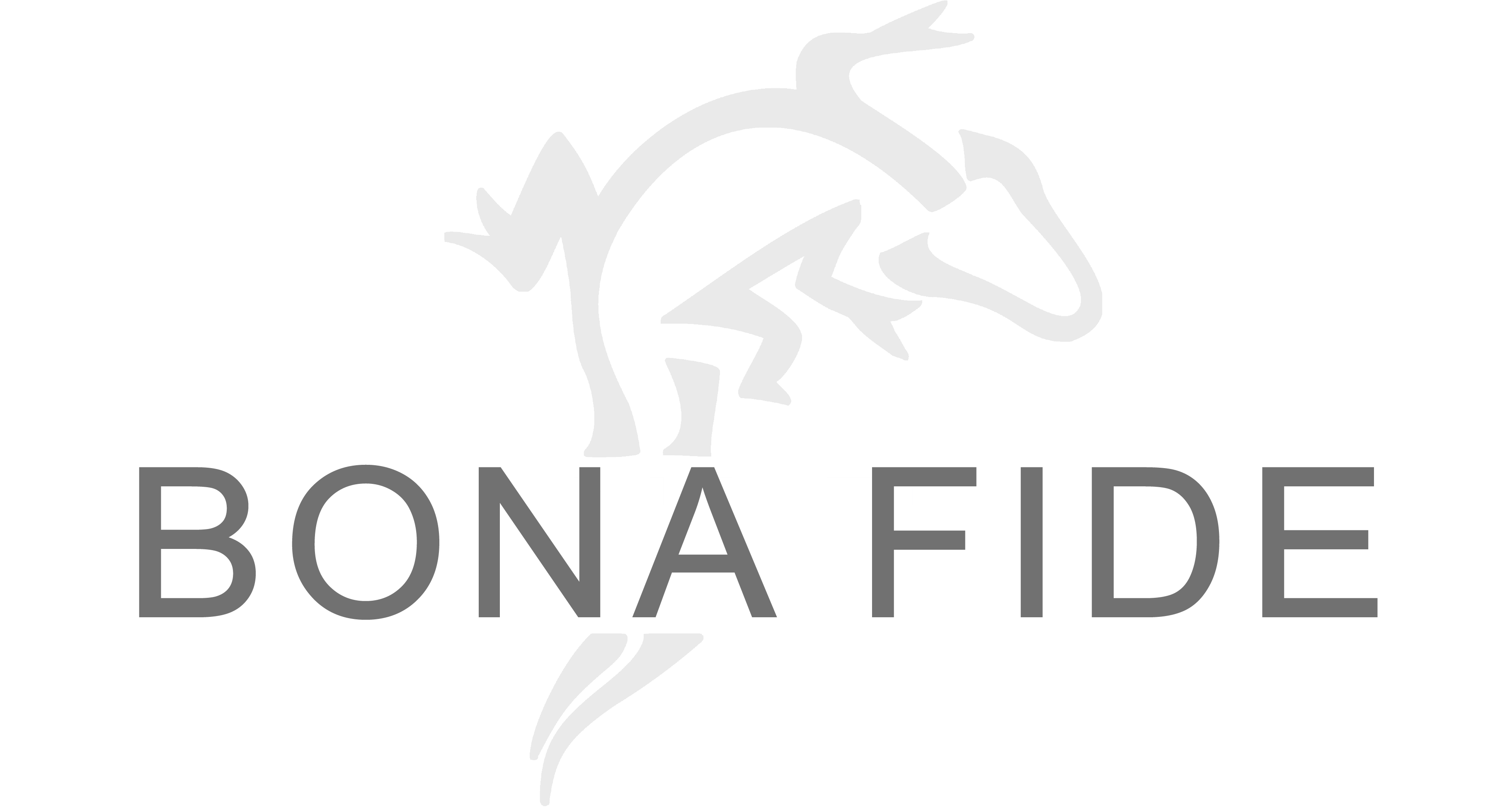 Bona Fide Corporation